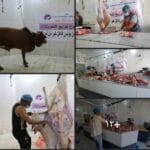 وزعت مؤسسة خطوات للتنمية الإنسانية اللحوم لعدد 100 أسرة في مدينة تعز